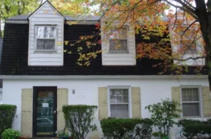 T-111 Exterior Paint Coating T-111 Worley-i