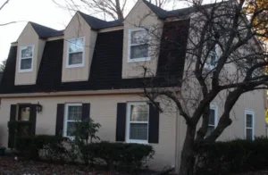 T-111 Exterior Paint Coating T-111 Worley-ii