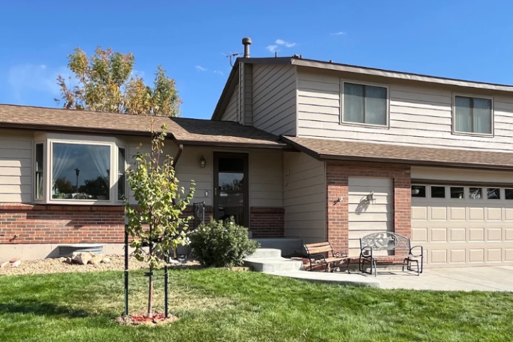 Thornton, co home after rhino shield.